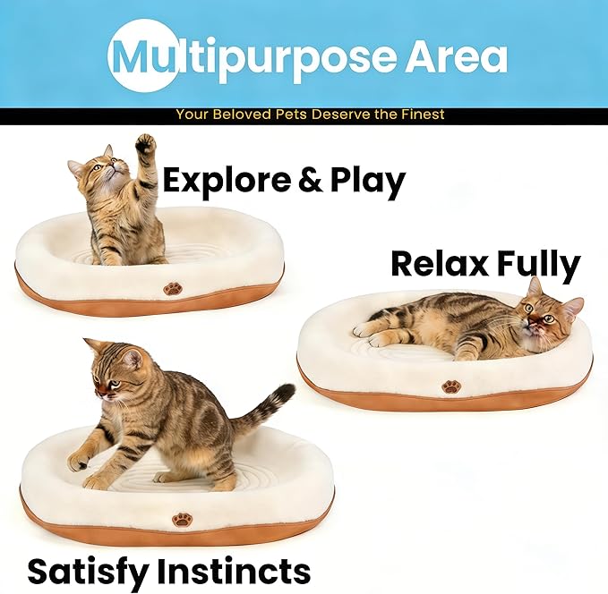 2 in 1 Cat Scratcher and Bed for Large Cats, Wear-Resistant Felt Cat Scratching Pad & Lounge, Protects Furniture from Scratching, Couch Protector Alternative (with Mochi Balls)