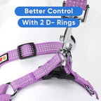 Pawtitas Reflective Step-in Dog Harness – Adjustable No-Pull Vest for Puppies to Seniors, Safe & Comfortable, S Orchid