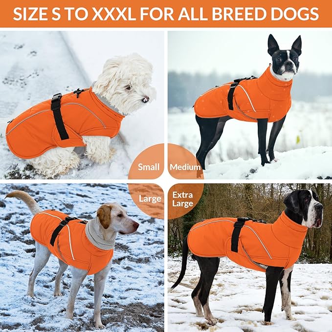 Queenmore Winter Dog Coat Warm Dog Jacket Vest Waterproof Puffer Fleece Snowsuit Adjustable Buckle Leash Hole Reflective Cold Weather Parka for Small Medium Large Dogs Girl Boy Orange M