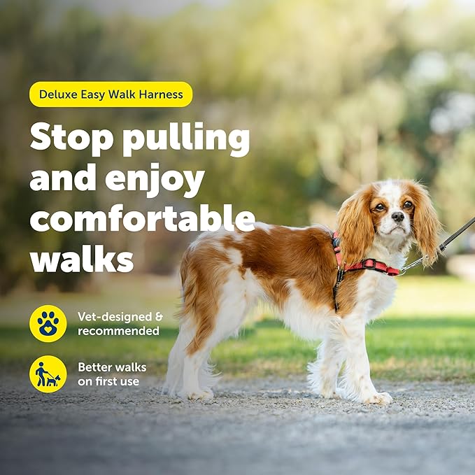 PetSafe Deluxe Easy Walk Harness - Trainer-Trusted Dog Chest Harness with Breathable Martingale Loop Design - Helps Stop Pulling with No Choking & Gagging - Small - Rose