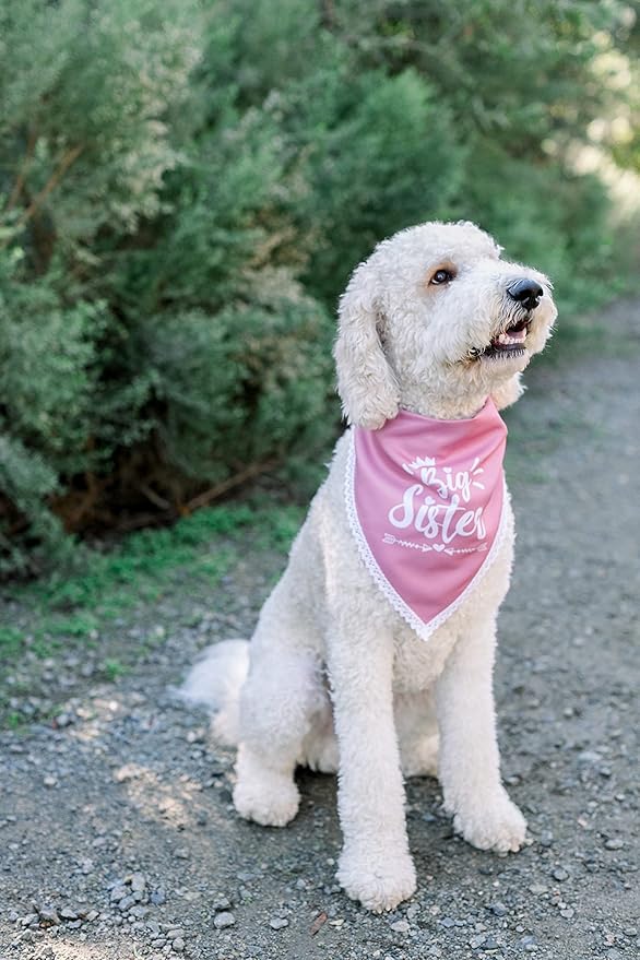 Big Sister Dog Bandana for Pregnancy Announcement, Handkerchief and/or Scarf Accessory for Dog, Warm Pink Color, Fits Medium to Large Dogs, Gender Reveal Prop for Expecting Mothers