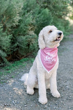 Big Sister Dog Bandana for Pregnancy Announcement, Handkerchief and/or Scarf Accessory for Dog, Warm Pink Color, Fits Medium to Large Dogs, Gender Reveal Prop for Expecting Mothers
