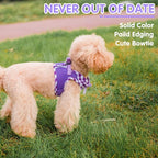 PUPTECK Dog Harness for Puppy and Small Sized Dogs, Step-in No Pull Soft Mesh Vest Harness for Cats Small Pets Walking, Purple, New XS