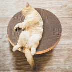 Round cat Scratcher Refill, 10 inch Diameter, 7/8 inch Thickness Scratcher Replacement Pads, Scratching Board Circle, Scratch pad, scratchers for Indoor Cats (3pcs)
