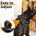 Mayerzon Martingale Dog Collar No Pull for Large Medium Dogs, Adjustable Neoprene Walking Collar for Pitbull German Shepherd Rottweiler, Reflective Anti Pull Design for Training Hiking(M, Black)