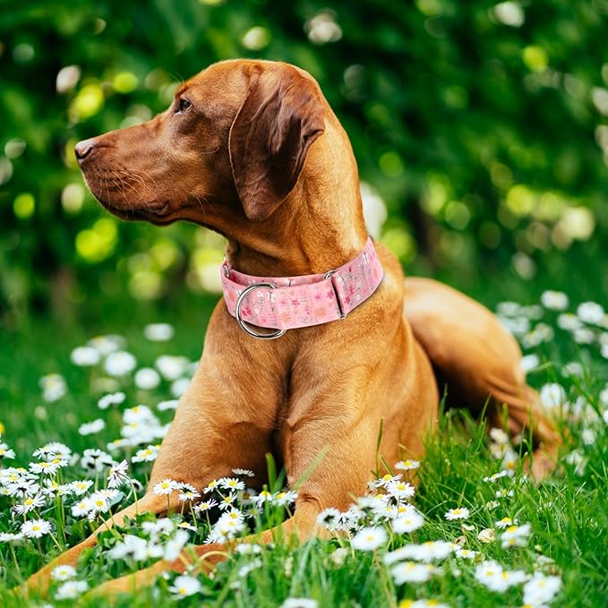 Martingale Collar for Dogs, Heavy Duty Adjustable Soft Nylon Dog Collars with Pink Flower for Medium & Large XL Dogs (Pink Flower,L)