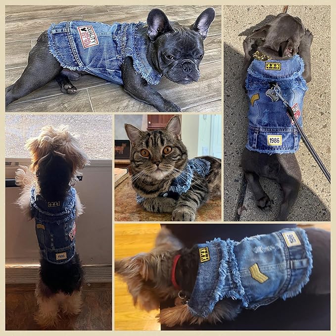Cool Dog Jean Jacket Small Puppy Outfits Frenchie Clothes Denim Coats for Small Medium Dogs Cats Boys Girls Pet Vest Dog Shirt Clothing Doggy Costume (Blue Print, XXL（Suggest 15-20 lbs）)