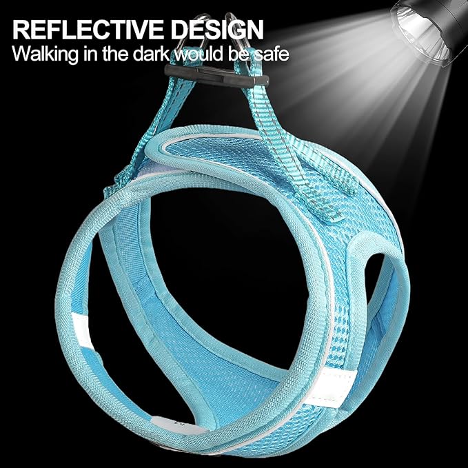 Dog Harness for Small Dogs and Leash Set, Honeycomb Grid, Reflective Lightweight Harness & Anti-Twist Pet Lead Multi Color, Size: XS-S-M. (M, Sky Blue)