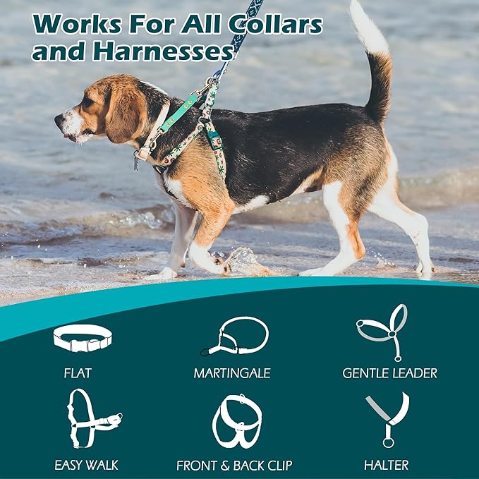 PetBonus Dog Collar Safety Clip, Waterproof Backup Safety Strap for Dog Harness to Prong Collar, Odor Proof Double Ended Clasp Leash Connector for Training Walking (Mint Green)