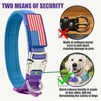 Tactical Nylon Dog Collar - Heavy Duty Metal Buckle with Handle for Dog Training, with Patches (Gradient 1, L)