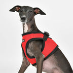 PUPPIA International PUAH305RE3L Soft Vest Harness, 3X-Large