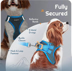 Eagloo Small Dog Harness and Leash Set, Step in Puppy Vest with Breathable Soft Mesh, Walking Reflective Pet Harness for Small Dogs, Blue, S