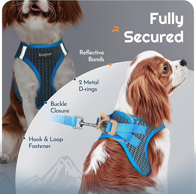 Eagloo Small Dog Harness and Leash Set, Step in Puppy Vest with Breathable Soft Mesh, Walking Reflective Pet Harness for Small Dogs, Blue, S