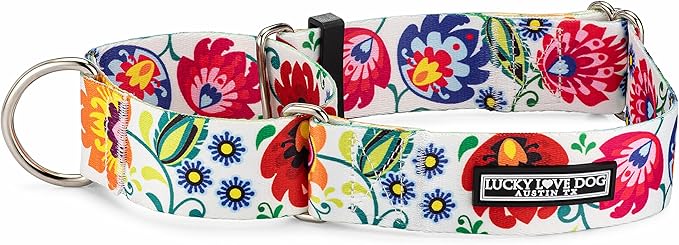 Lucky Love Dog Wide Martingale Dog Collar - No-Slip, Durable, & Soft Webbing 1.5 inch Martingale Collar for Dogs Male and Female - Ideal for Training & Walking - Ladybird, Medium