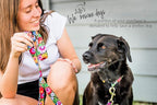 Lucky Love Dog Wide Martingale Dog Collar - No-Slip, Durable, & Soft Webbing 1.5 inch Martingale Collar for Dogs Male and Female Ideal for Training & Walking - Blackbird, X-Large