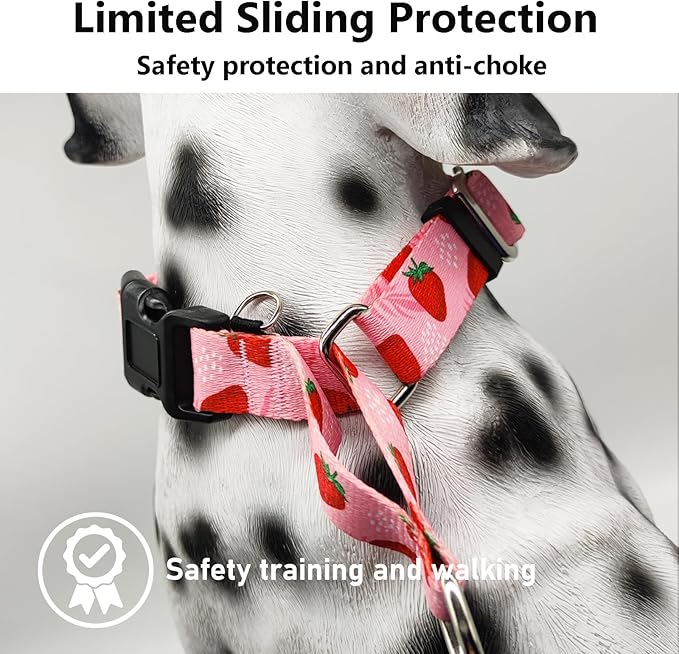 Martingale Collar for Dogs with Buckle Adjustable Nylon Slip No Pull Training Dog Collars (Pink Strawberry, Large)