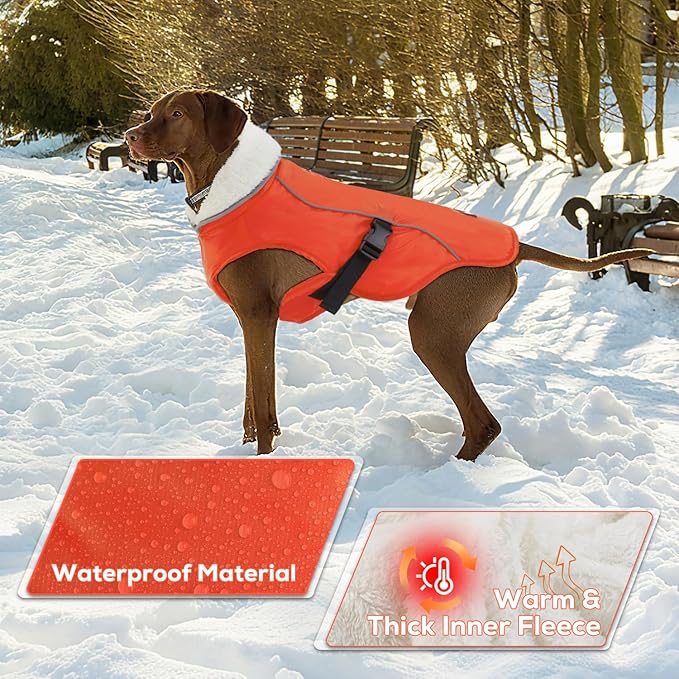 EMUST Dog Jacket Winter, Cozy Windproof Dog Jacket for Cold Weather, Solid Color Pet Vests for Winter for Medium Dogs, Orange, M