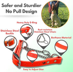 Martingale Collar for Dogs, Biothane, Stainless Steel Hardware, No Pull, Made in The USA, Professional Grade, XS, Orange