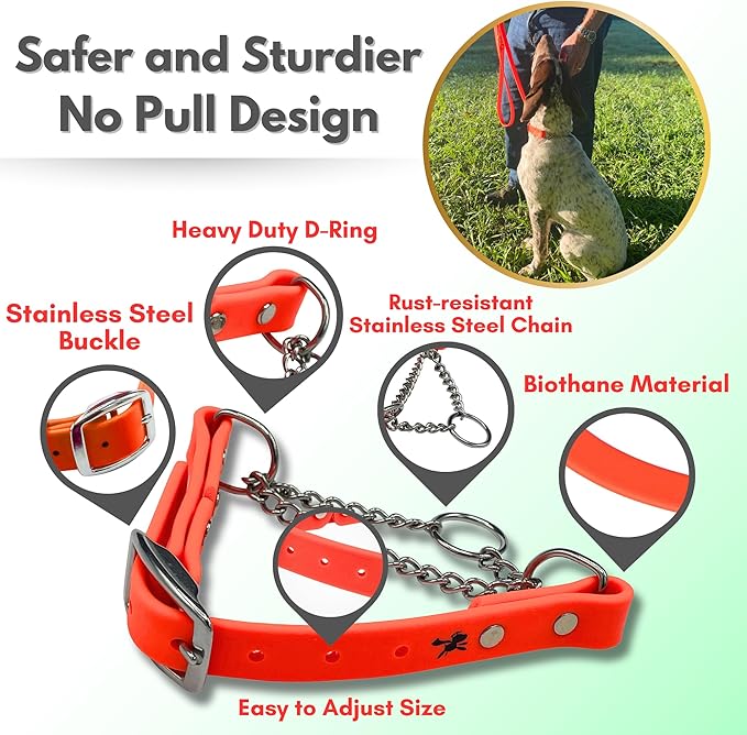 Martingale Collar for Dogs, Biothane, Stainless Steel Hardware, No Pull, Made in The USA, Professional Grade, XL, Orange