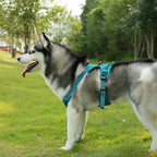 Voyager Dog Harness Dual Leash Attachment No-Pull Control Adjustable Soft but Strong Pet Harness for Medium and Large Dogs with 3M Reflective Technology, Leash Set Turquoise Nylon, S (Chest: 16-20")
