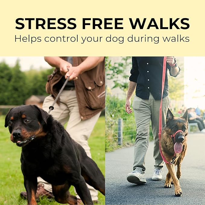 Dog Headcollar With Leash And Safety Strap Stops Heavy Pulling On The Leash Padded Reflective Head Halter For Small Medium Large Dogs Adjustable Head Harness For Training And Walking, (M, Black)