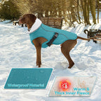 EMUST Winter Dog Jacket, Windproof Dog Apparel for Cold Weather, Reflective Coats for Dogs, Warm Puppy Jacket for Cold Winter, Turquoise, S