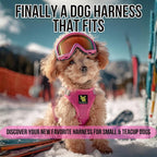 EcoBark Step in Dog Harness - Eco-Friendly Dog Harnesses for for Small & Medium Breed Dogs - Reflective and Adjustable Chest Body Halter Vest -Soft Luxurious Mesh (Pink, XL)