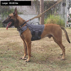 ICEFANG GN3 Tactical Dog Harness with 6X Buckle,Dog Molle Vest with Handle,3/4 Body Coverage,Hook and Loop Panel for ID Patch,No Pulling Front Clip (L (28"-35" Girth), Wolf Gray)