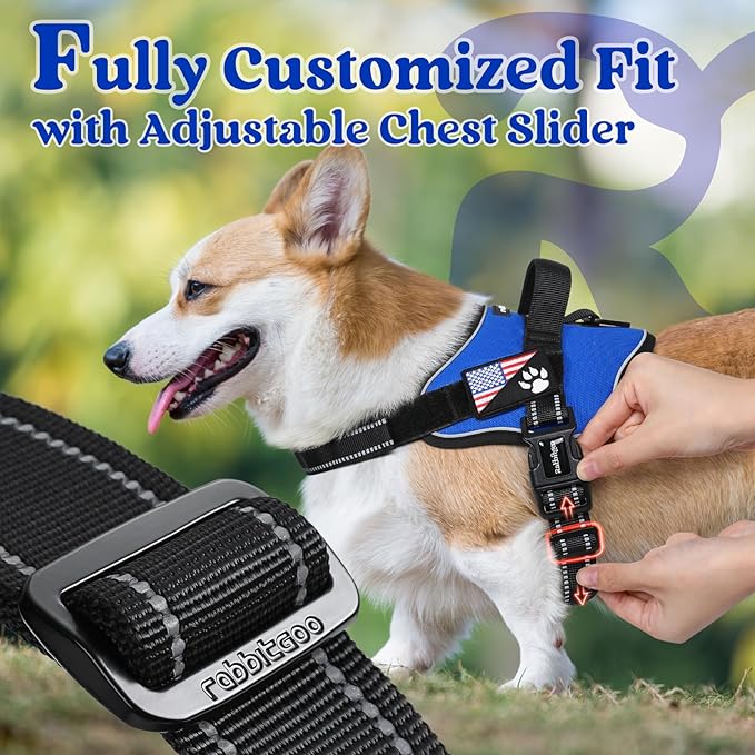 rabbitgoo Dog Harness Medium Sized, No Pull No Choke Pet Vest, Easy Wearing with One Buckle, Reflective, Adjustable Pet Harness with Molle for Walking, Training, Blue, M