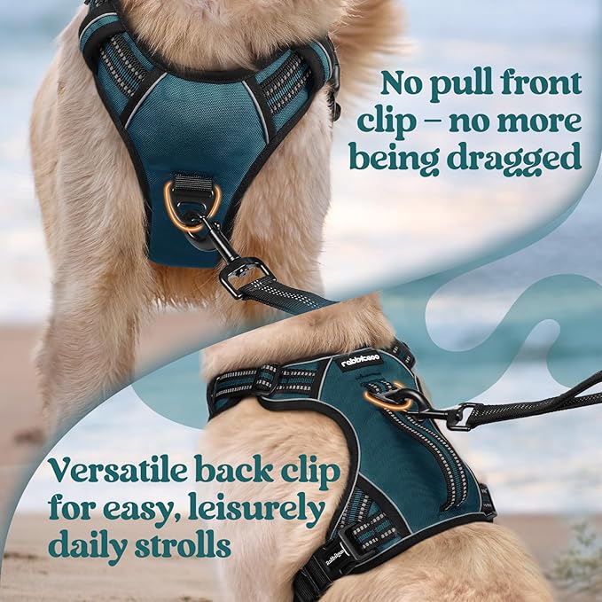 rabbitgoo Dog Harness for Large Dogs, No Pull Pet Harness with Soft Padded Handle, Adjustable Reflective Vest with 3 Buckles, Easy Walking Harness with 2 Leash Clips, Green, L