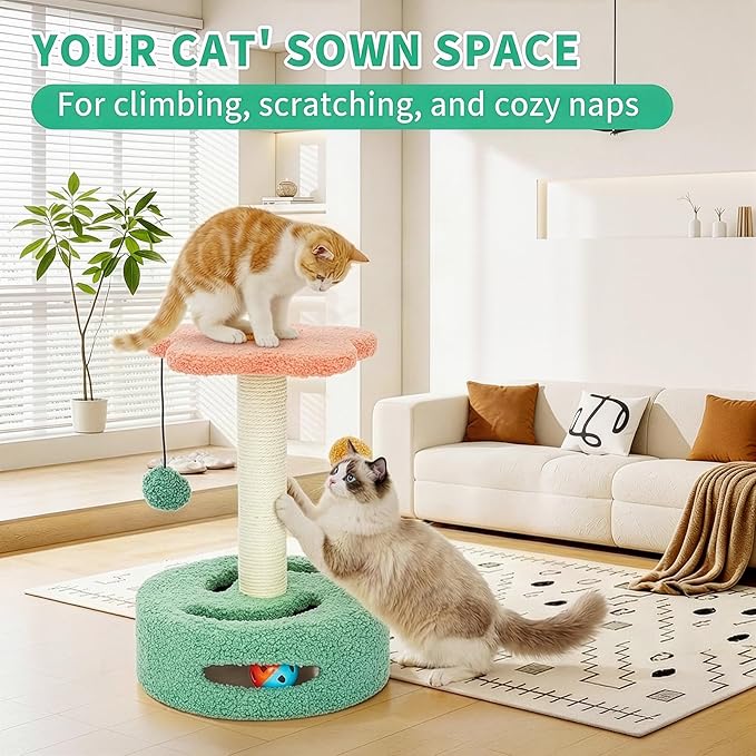 Cat Scratching Post 13.98" H, Flower-Shaped Small Cat Tree with Sisal Scratcher, Interactive Hanging Ball & Track Ball Toy, Easy Assembly Kitten Activity Center for Indoor Cats, Protect Furniture