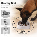 2PCS Slow Feeder Dog Bowls, Pet Supplies That Slow Down Eating, Pet Food Bowls, Maze Dog Puzzle Feeder for Medium Breed