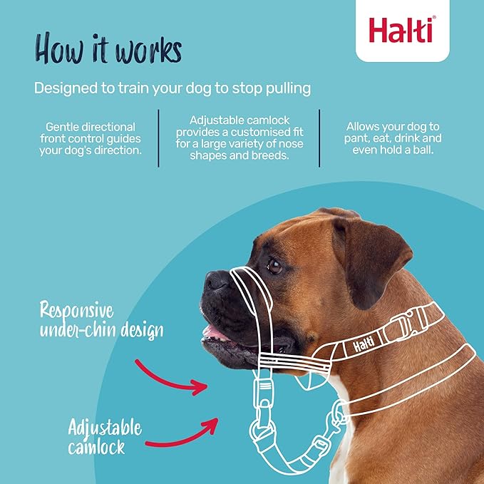 Halti Optifit Headcollar Size Medium & Halti Training Leash Size Large, Black Combination Pack - Stop Your Dog Pulling on the Leash. Adjustable with Padded Nose Band. Suitable for Medium Dogs