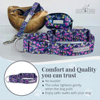 Lucky Love Dog Wide Martingale Dog Collar - No-Slip, Durable, & Soft Webbing 1.5 inch Martingale Collar for Dogs Male and Female Ideal for Training & Walking - Primrose, X-Large