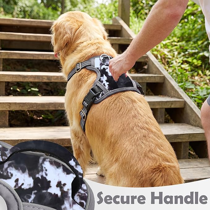 Funfox Dog Harness No Pull, Adjustable Pet Vest Harness, Super Soft Material with Vertical Handle Easy Control, Reflective Night Walking, 2 Leash Clips for Small Sized Dogs, Misty Gray, S
