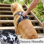 Funfox Dog Harness No Pull, Adjustable Pet Vest Harness, Super Soft Material with Vertical Handle Easy Control, Reflective Night Walking, 2 Leash Clips for Medium Sized Dogs, Misty Gray, M