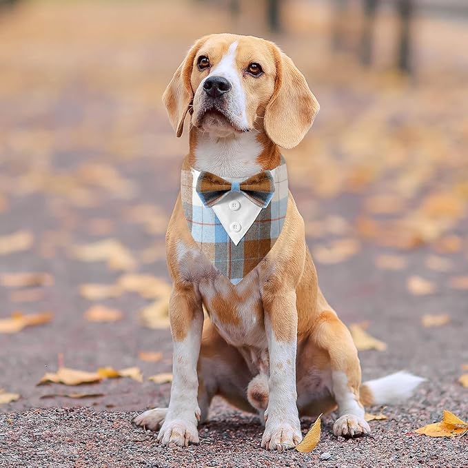 Fall Dog Tuxedo Bandana, Orange Plaid Pet Collar with Bowtie, Adjustable Halloween Thanksgiving Dog Tux Costume for Small to Extra Large Pets