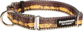 Downtown Pet Supply - Martingale Collar for Dogs - Dog Training Collar - Big, Wide & Thick Dog Collar - Escape-Proof, Weatherproof, Durable and Comfortable - Sahara - Small Dog Collar