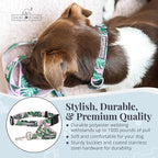 Lucky Love Dog, Tropical Matching Dog Collar & Leash Set, Soft & Comfy, Vivid Pink Color Collar and Leash for Female Male Dogs - (Medium, Laguna Combo)
