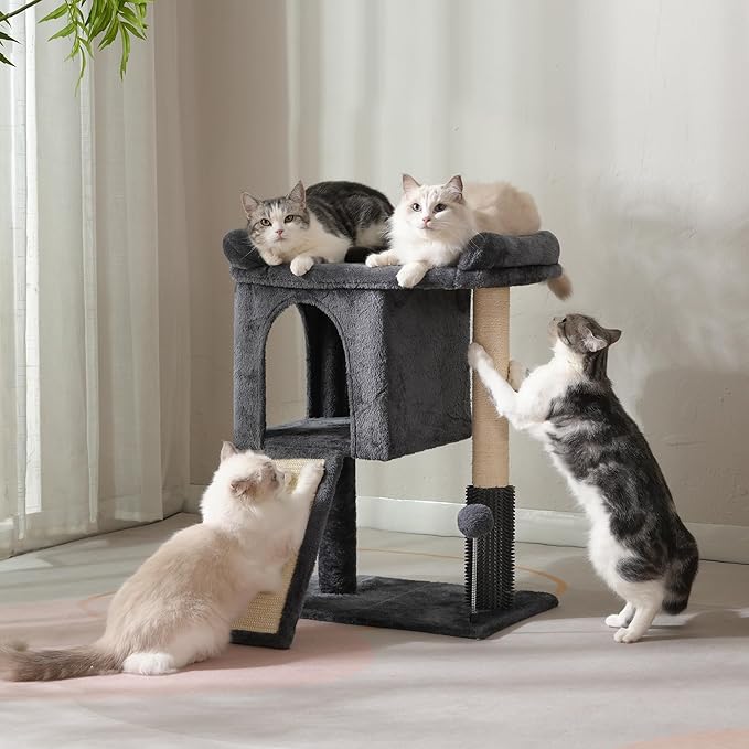 Small Cat Tree Tower for Large Cats with Spacious Top Bed 20x13.8”Private Cat Condo,Sisal Scratching Post and Ramp and Self Groomer and Spring Ball-Dark Grey
