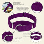 Country Brook Petz - Martingale Dog Collar - Heavy-Duty Training Collar with No Buckle - Service Dog Collar for All Pups - 10+ Cool Colors (Purple, 1 Inch, Medium)