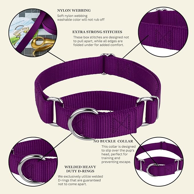 Country Brook Petz - Martingale Dog Collar - Heavy-Duty Training Collar with No Buckle - Service Dog Collar for All Pups - 10+ Cool Colors (Purple, 1 Inch, Extra Large)