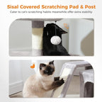 PEQULTI Small Cat Tree Tower for Large Adult Cats and PEQULTI Cat Tree Tower for Indoor Cats