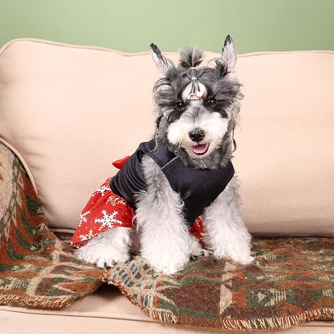 CuteBone Christmas Dog Dresses Velvet Holiday Small Dogs Clothes Onesie Pet Apparel Girl Puppy Skirt with Bow Hair Rope CVA54S-D