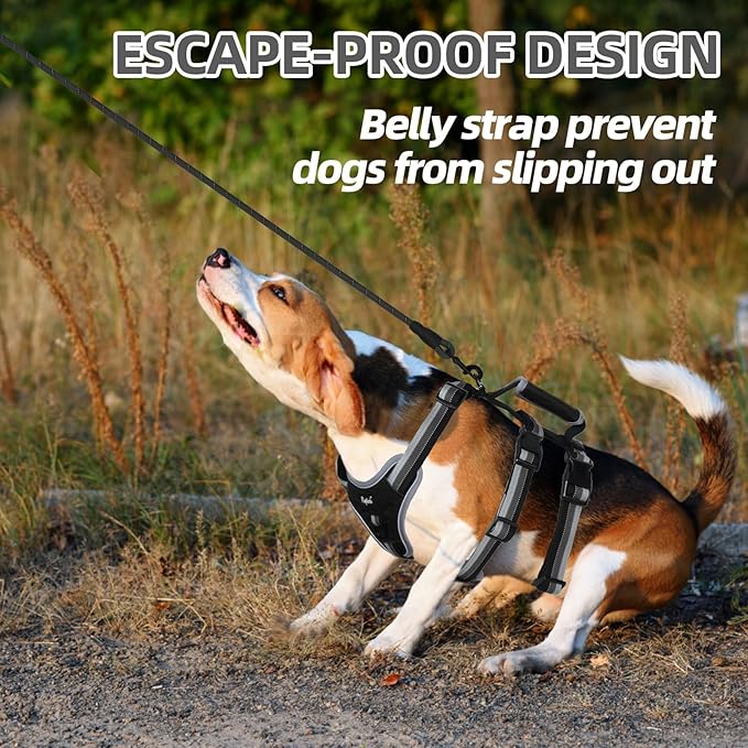 PUPTECK Escape Proof Dog Harness with Padded Handle, No Pull Pet Vest Harness Durable Reflective for Medium Large Dogs Walking Training and Running, Black, L
