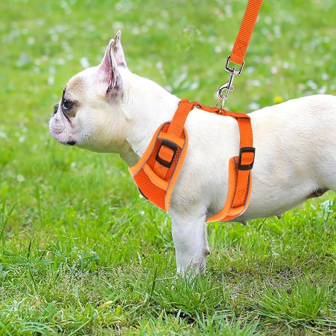 PUPTECK Small Dog Harness and Leash Set, No Pull Adjustable Puppy Cat Harness, Reflective Soft Mesh Pet Vest Small Sized, Orange, M