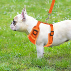 PUPTECK Small Dog Harness and Leash Set, No Pull Adjustable Puppy Cat Harness, Reflective Soft Mesh Pet Vest Small Sized, Orange, S