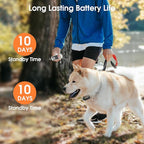 Shock Collar for Dogs - Waterproof Rechargeable Dog Electric Training Collar with Remote for Small Medium Large Dogs with Beep, Vibration, Safe Shock Modes (8-110 Lbs)