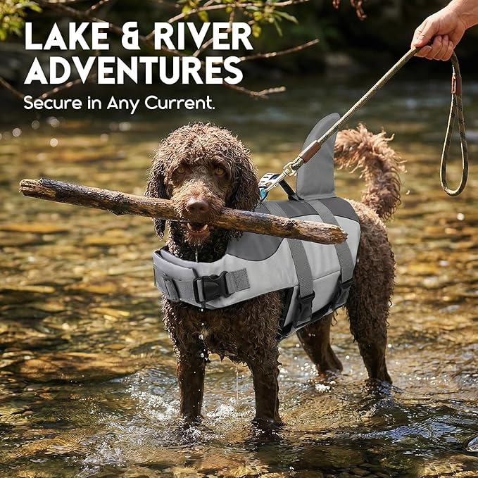 ASENKU Dog Life Jacket - Pet Safety Vest for Swimming & Boating, Shark Life Jacket with Floatation, Dog Lifesavers Swimsuits for Small Medium Large Dogs (Grey, XL)