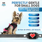 Bark Collar for Small Dogs 5-15 lbs with Magnetic Charging – No Shock, 3 Beep & Vibration Modes, 5 Sensitivity Levels – Humane Stop Anti-Barking Device – Dog Training Bark Collar (Black/Red Heart)